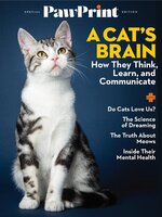 PawPrint Inside a Cat's Brain